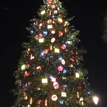 公寓 T2 - Balcon -15 Min Centre Et Allemagne 斯特拉斯堡