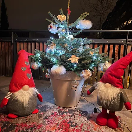 T2 - Balcon -15 Min Centre Et Allemagne Strasbourg