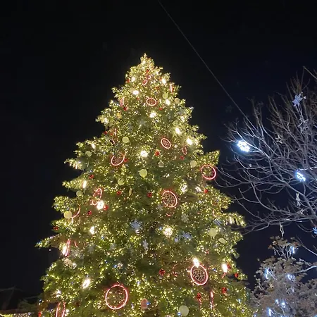 T2 - Balcon -15 Min Centre Et Allemagne Appartamento Strasburgo